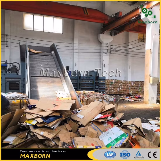 Máquina de enfardamento hidráulica horizontal dupla RAM automática de alta qualidade/enfardadeira hidráulica para papelão, plástico e palha